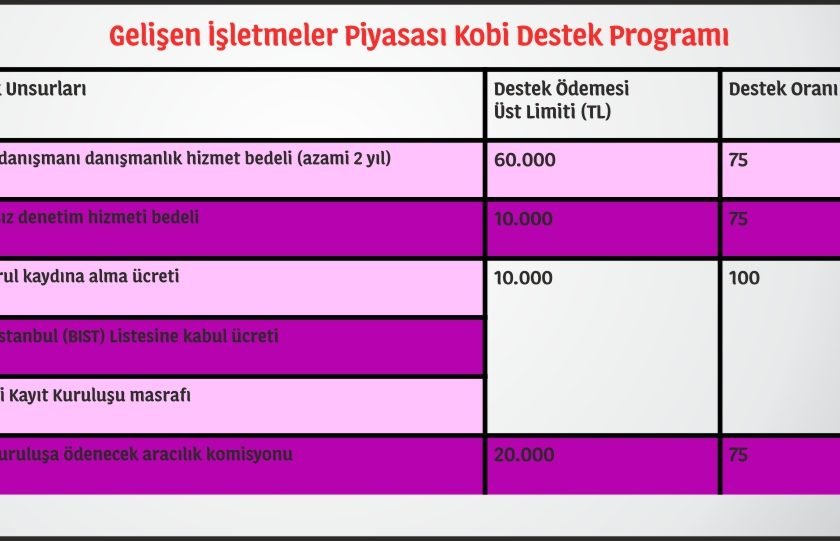 Gelişen İşletmeler Piyasası KOBİ Destek Programı
