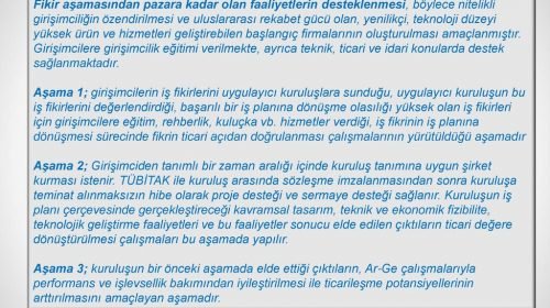 Teknogirişim sermayesi desteği