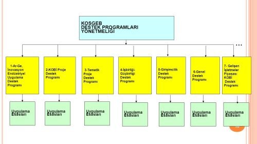 Tematik Proje Destek Programı
