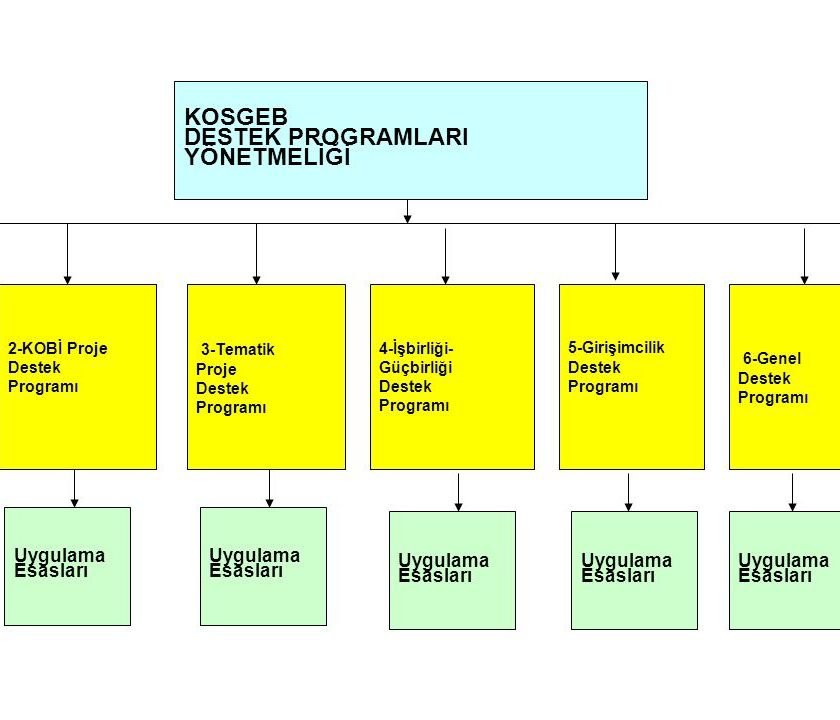 Tematik Proje Destek Programı