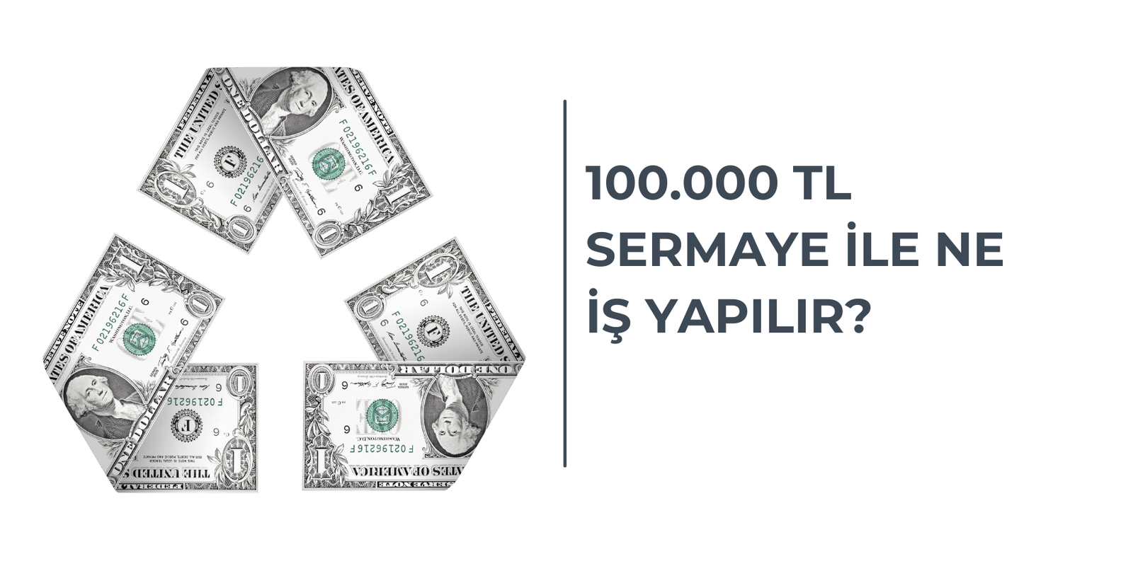 100.000 TL SERMAYE İLE NE İŞ YAPILIR